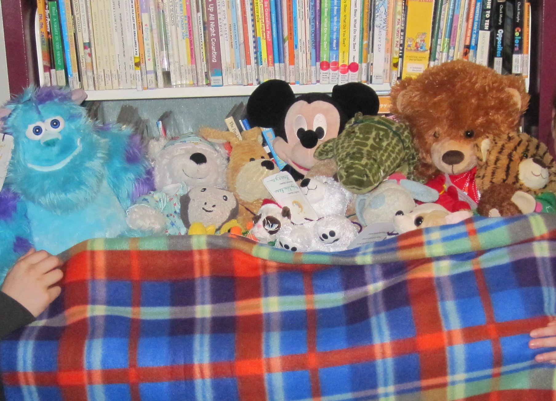 All the stuffies tucked in for a night at the library!