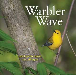 Warbler Wave.jpg